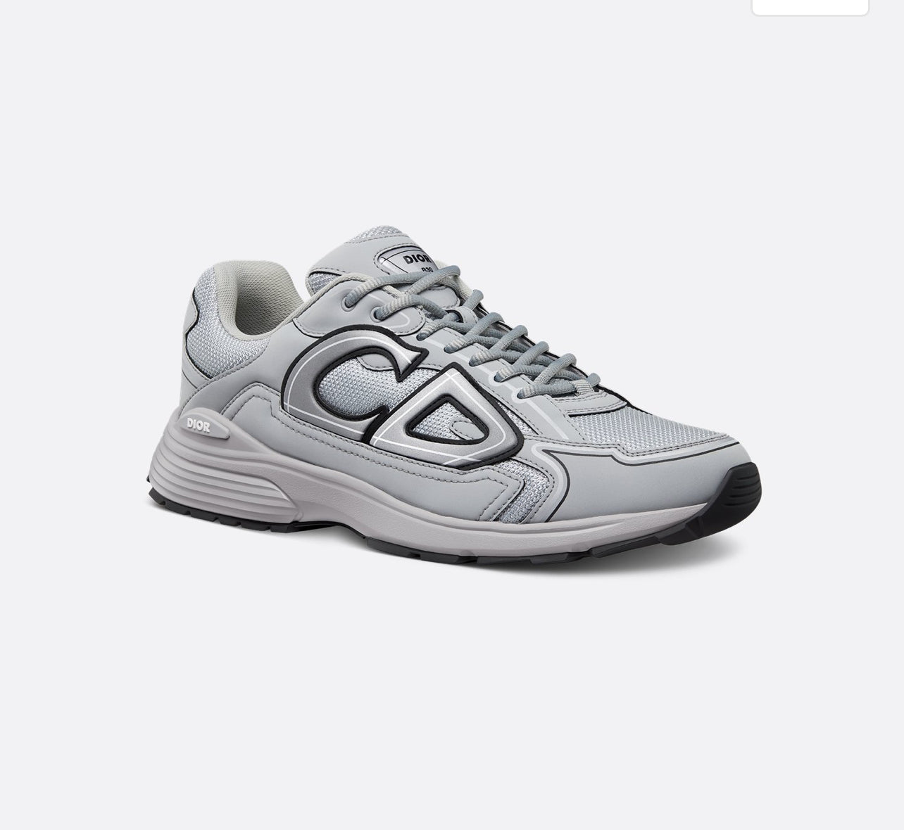 Dior B30 Grey